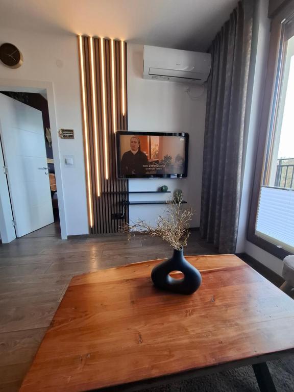 Vrnjačka Promenada - Pešačka zona - Baby friendly - 2