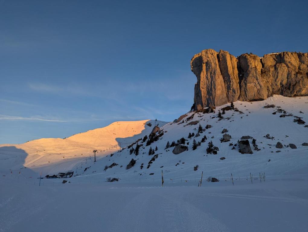 Stunning Alpine Views 3 bedroom apartment Leysin - 5