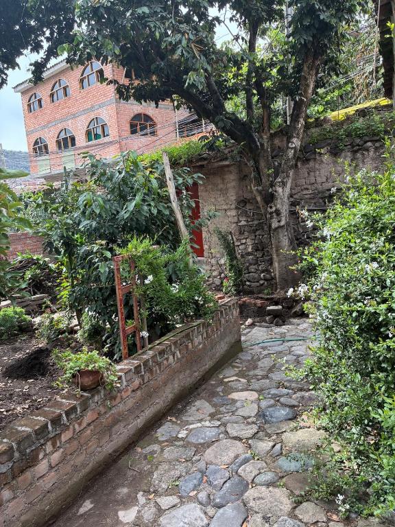 La HuertaComfortable little house and charming garden - 5