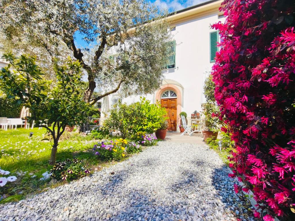 B&B Villa Lula Lucca - 5