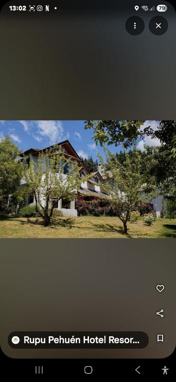 Rupu Pehuen Resort - 3