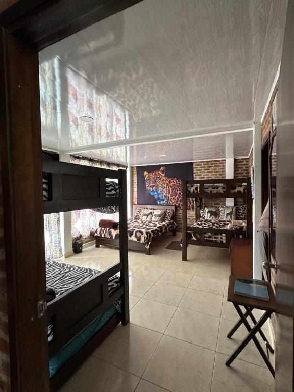 Casa Africa - 5