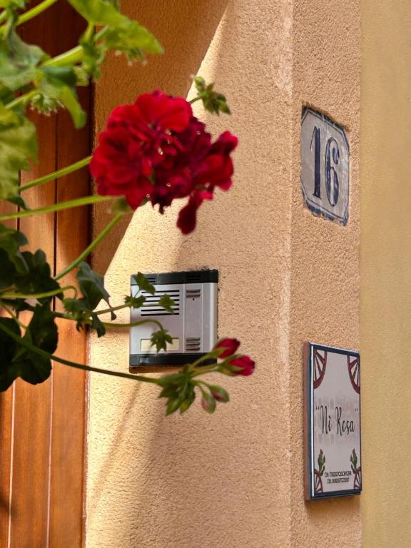 Casa Vacanza Nì Rosa - 4