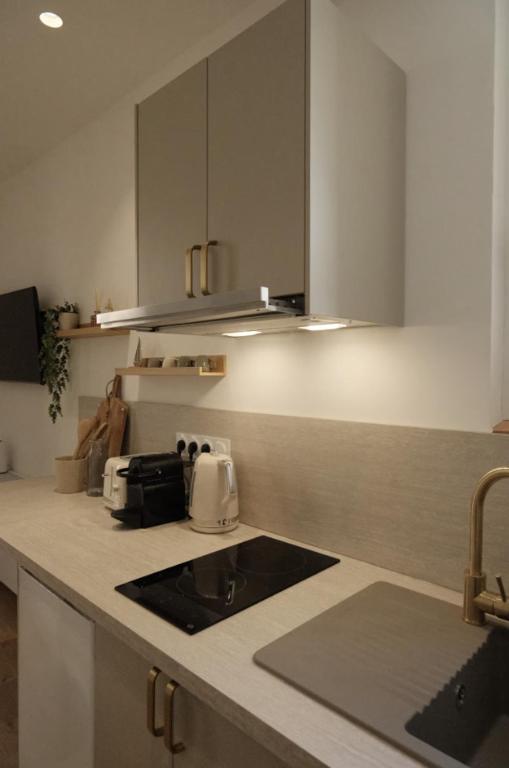 Petite fleur - Studio Vieil Antibes-Plage à 5 min - 4