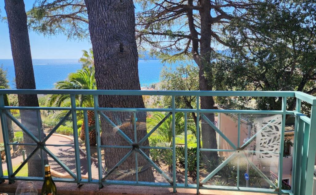 Piscine, VUE MER, Calme et luxe, terrasse - 5