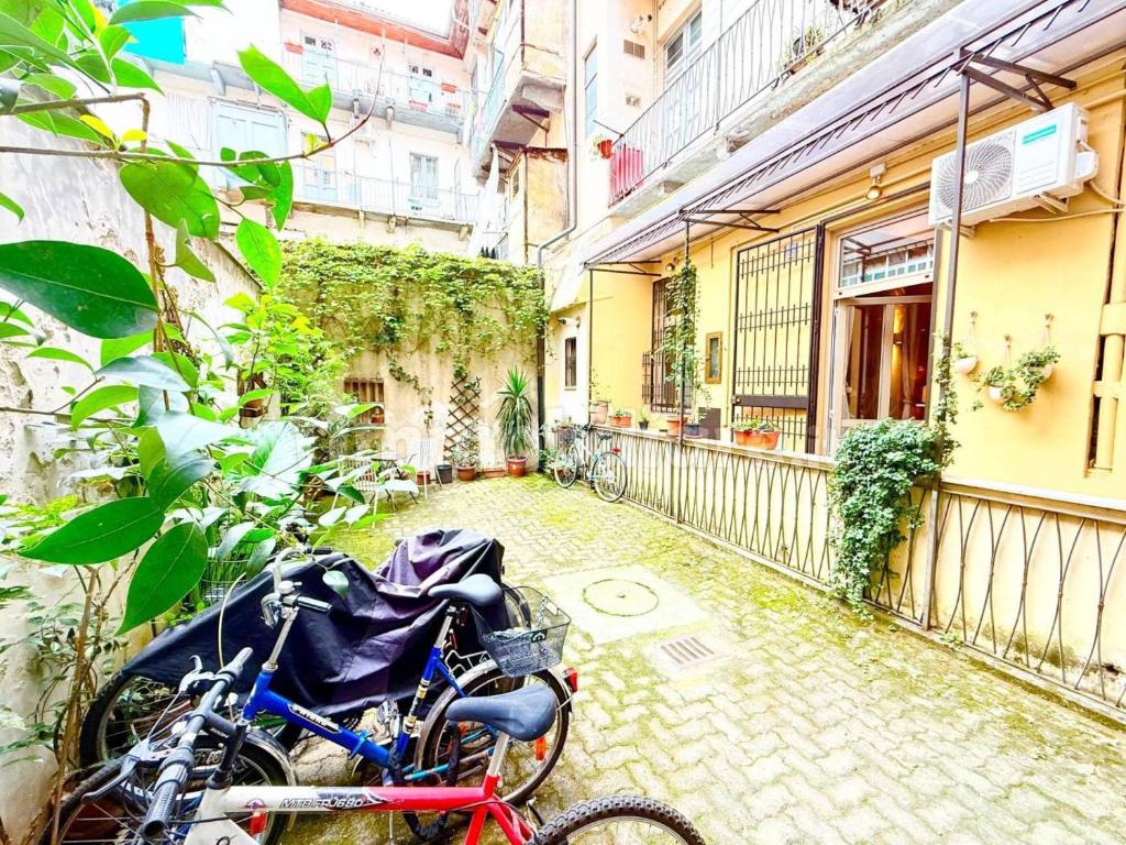 LOFT Berthollet - 3