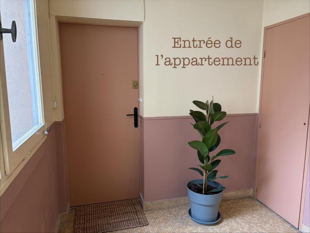 Appartement paisible - 3