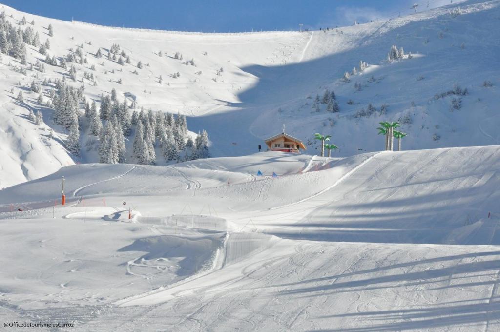 OB222 - 2 pièces Mezzanine 6 pers pieds de pistes - 2