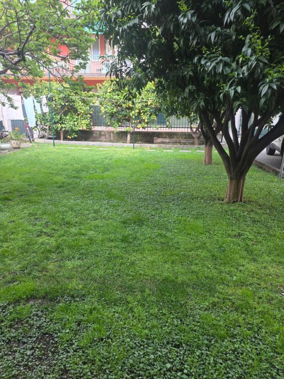 B&B ALDA - 4
