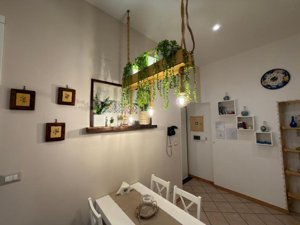 Sweet Home QuiSiSana - 1