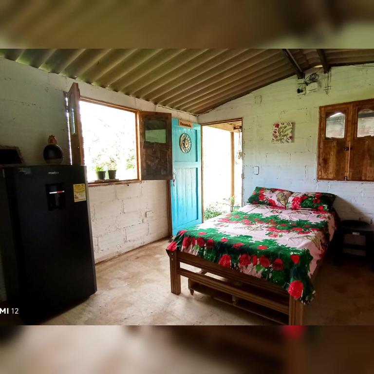 Cabañas Un lugar Mágico en Cisneros Antioquia - 2