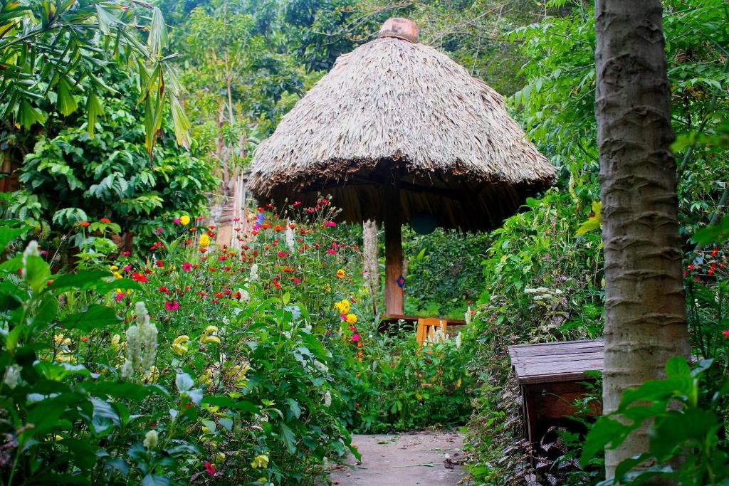 Jardín