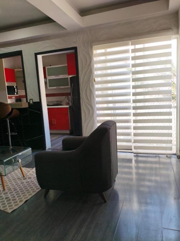 Elegant apartment next to Chapultepec - 2