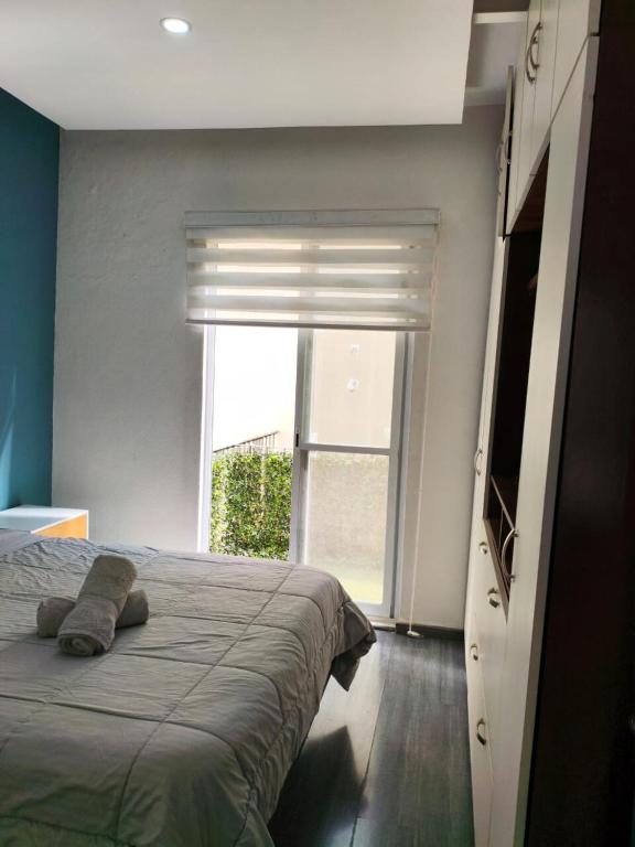 Elegant apartment next to Chapultepec - 3