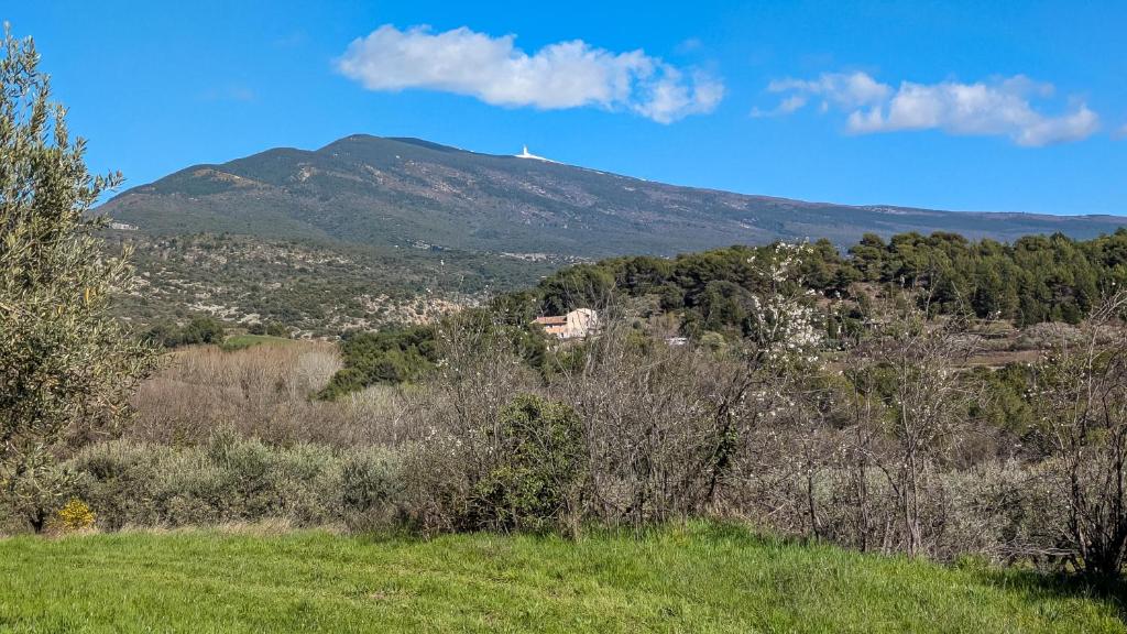 Gîte au pied du Mont Ventoux - Terrasse, piscine, nature - 5