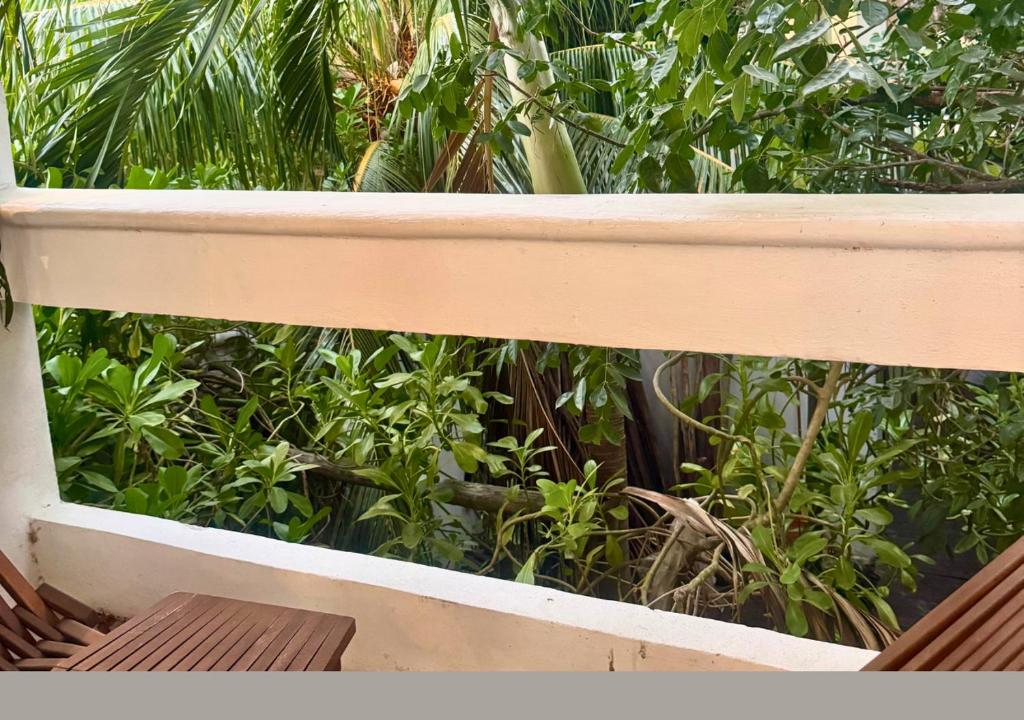 Rico Isla Rooms Eco-Chic - 5