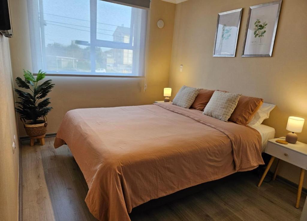 Departamento Villarrica Alto costanera Full equipado - 5