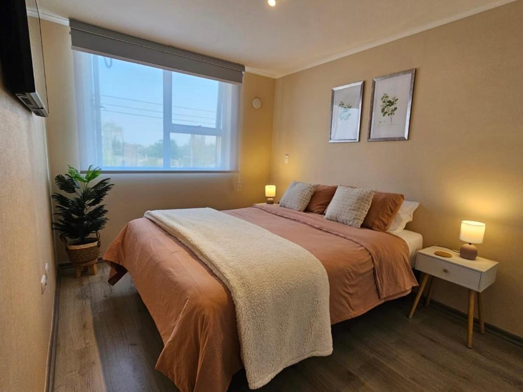 Departamento Villarrica Alto costanera Full equipado - 3