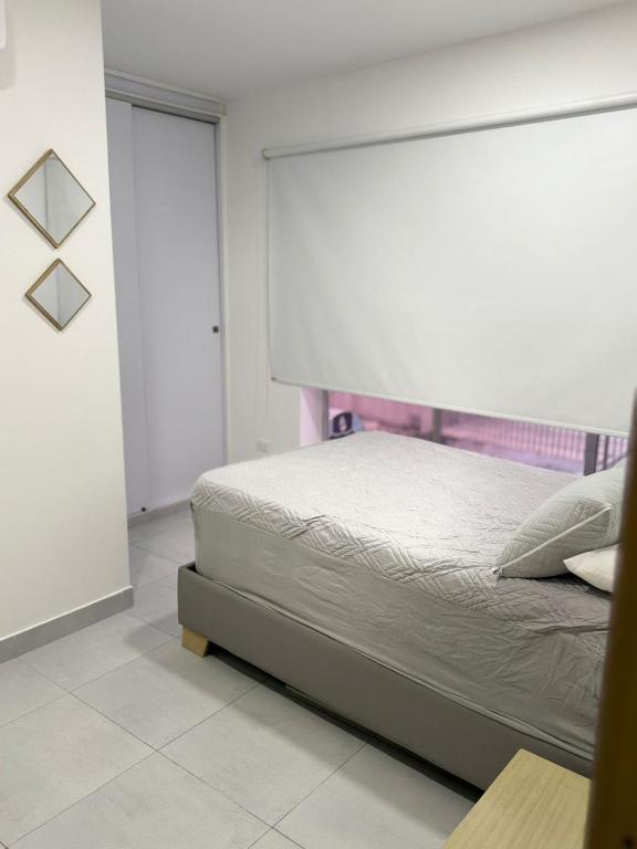 Diplastic House - 5