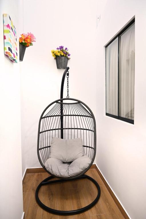 Mini Loft Lince Prime - 3