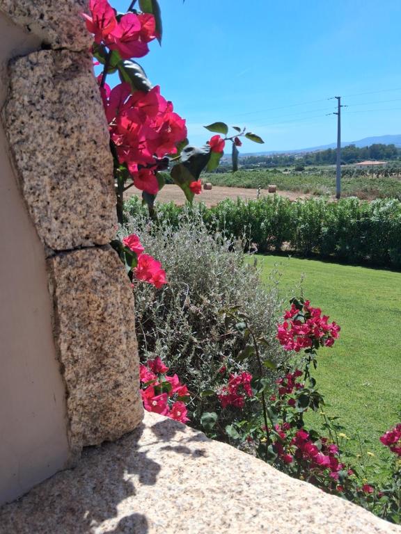 B&B Majore - 5