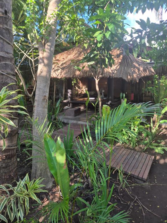 Wombat's B&B