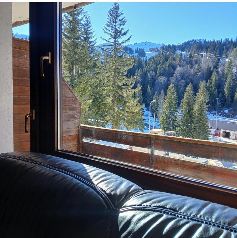 Jahorina Ski View Apartman - 2