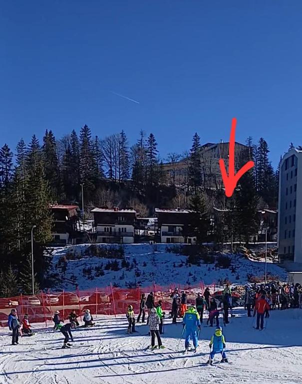 Jahorina Ski View Apartman - 3