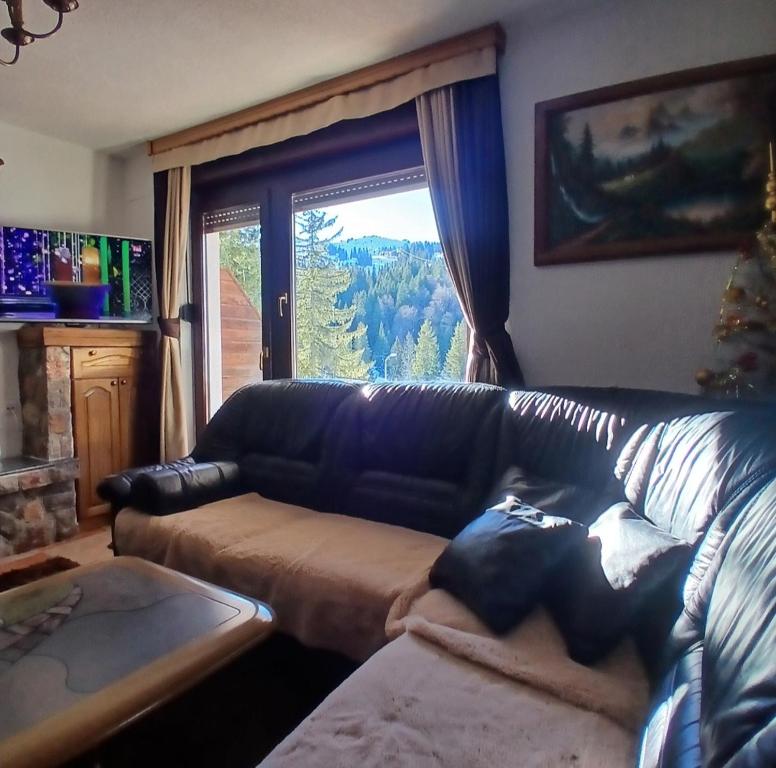 Jahorina Ski View Apartman - 5