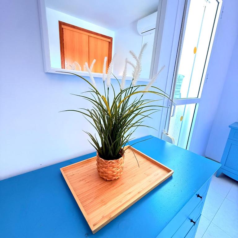 Apartment Large Terrace Sea & Mountain Benalbeach - 4