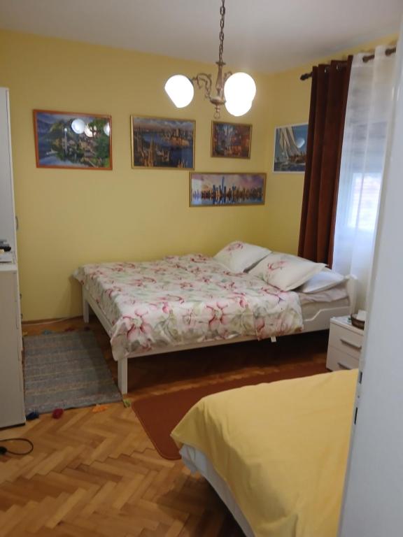 Apartments Vučinović - 5
