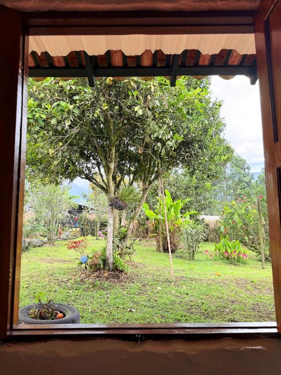 Finca Hostal Ágora - 3