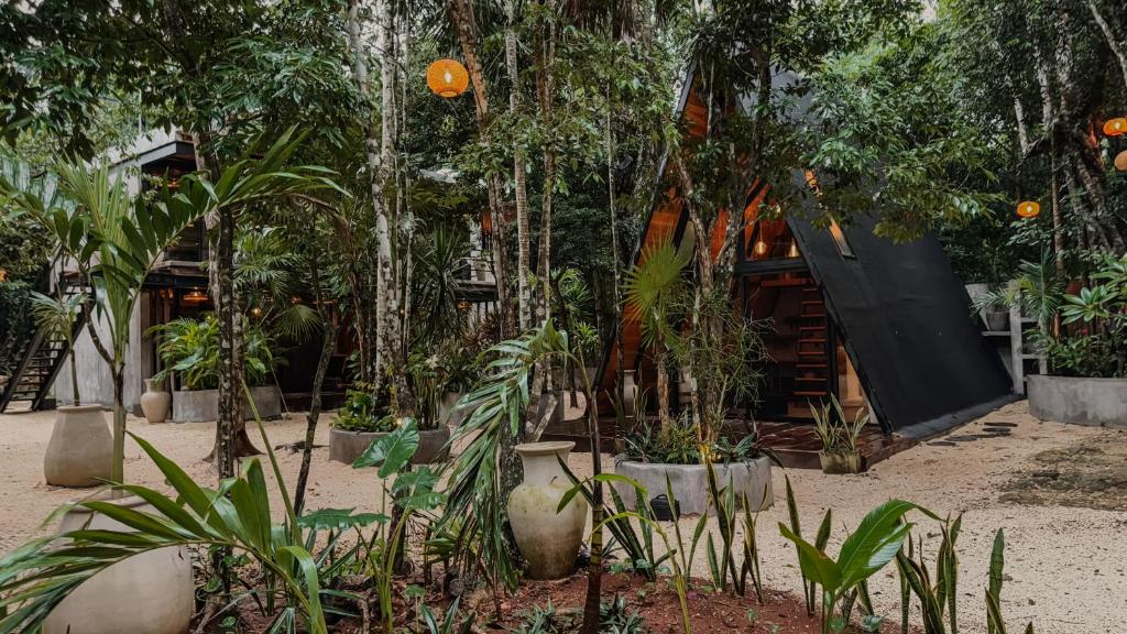 Casa Tattva - 4