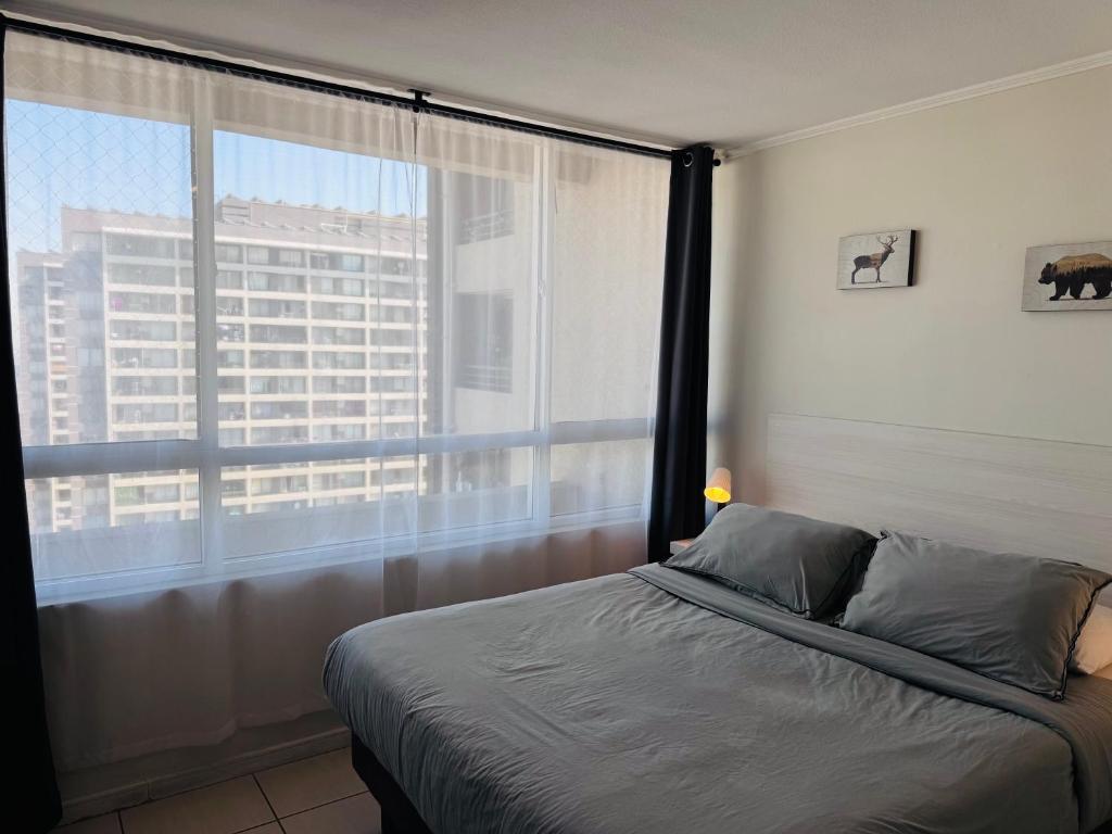 Cómodo Apartamento en Santiago Studio - 5
