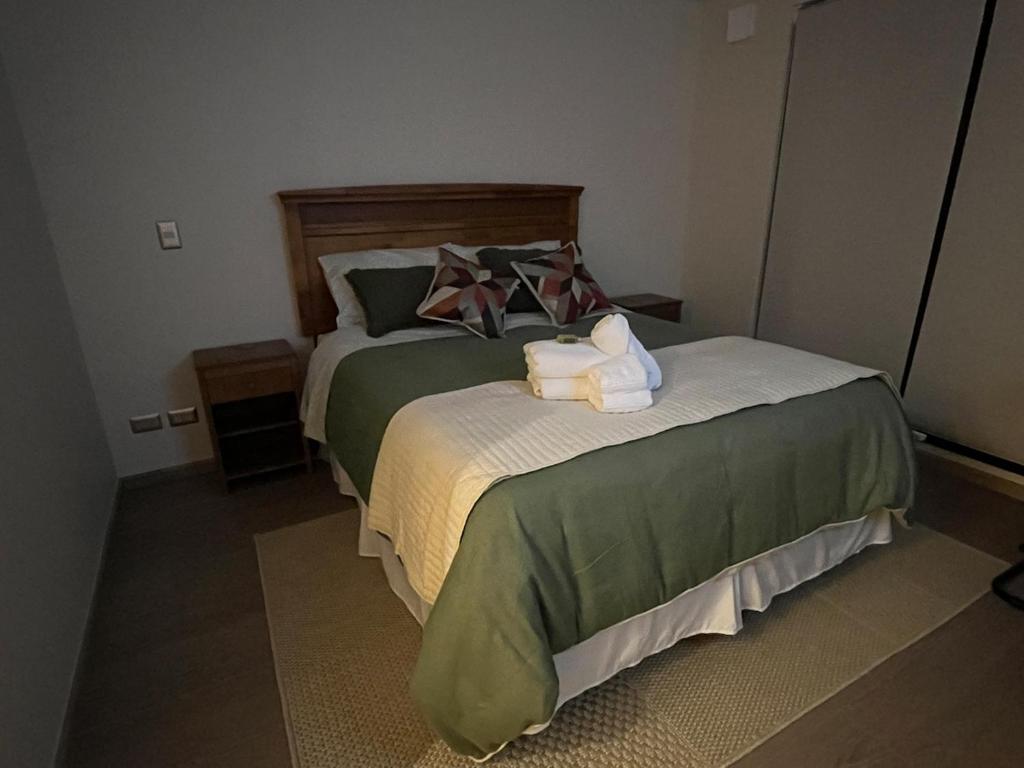 Nuevo y Acogedor Departamento 1D1B WiFi y Parking - 5