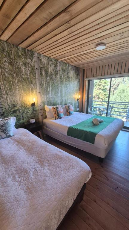 Lodge Los Bosques - 3