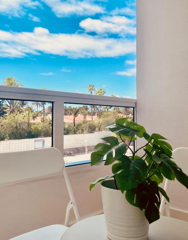 Click&Guest - Golden Stay in Maspalomas - 5
