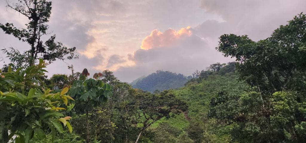 Villa colibrí - 5