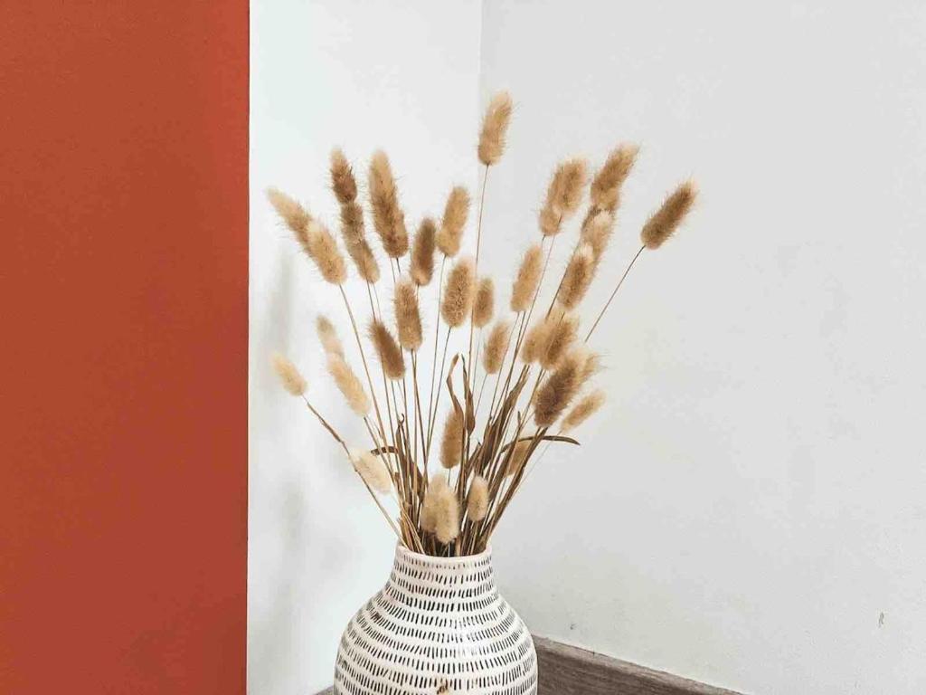 Charmant appartement, proche Jardin des Plantes - 5