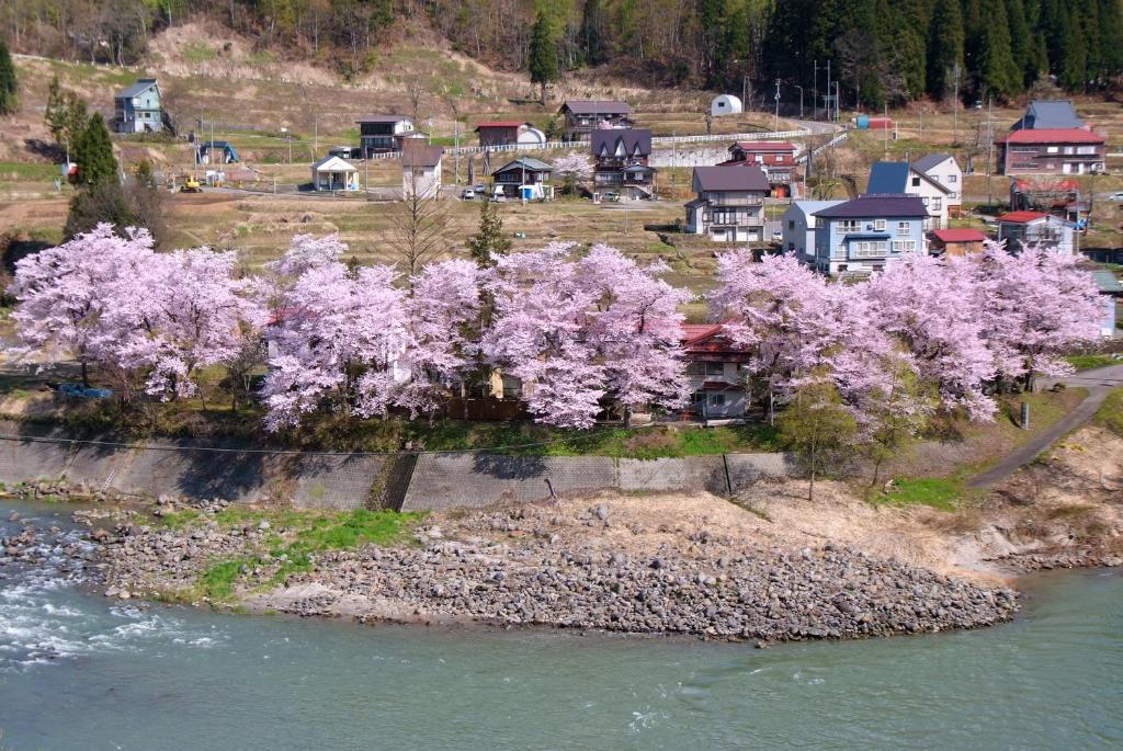 Surrounding environment