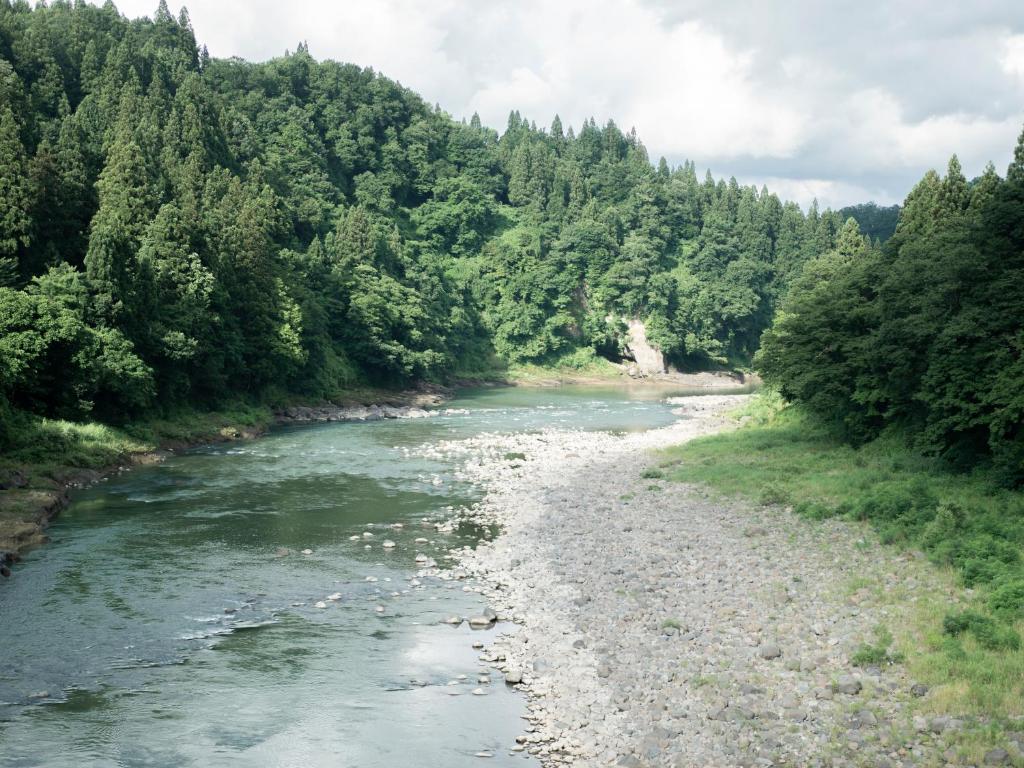 Surrounding environment