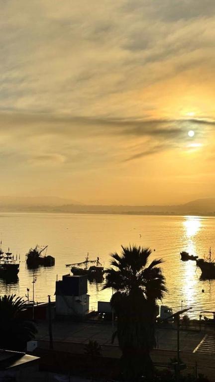 La Perla de Coquimbo - 2
