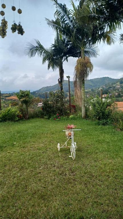 villa lyda - 3