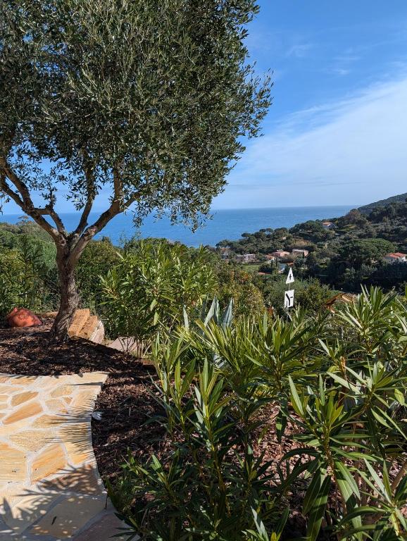 Cottage Casa Gina - Goelba - 4