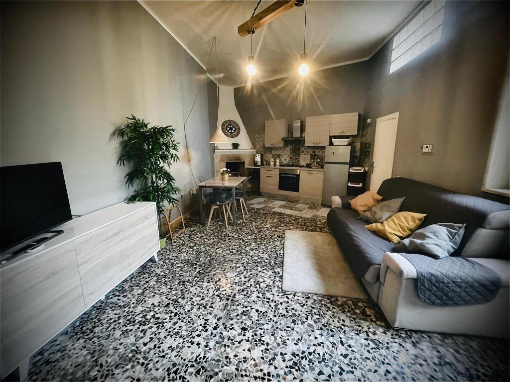 L’abete bianco - 4