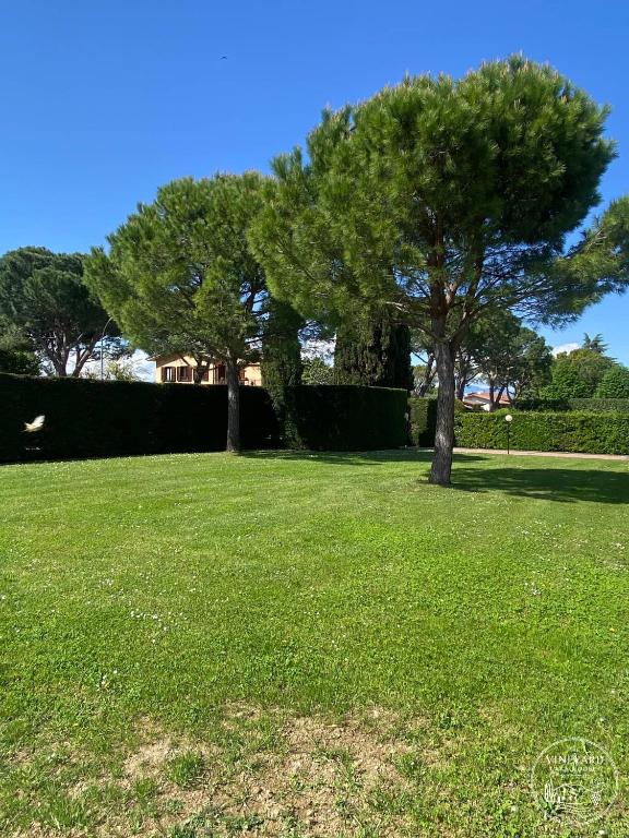 The Vineyard Lake House - Desenzano del Garda - 5