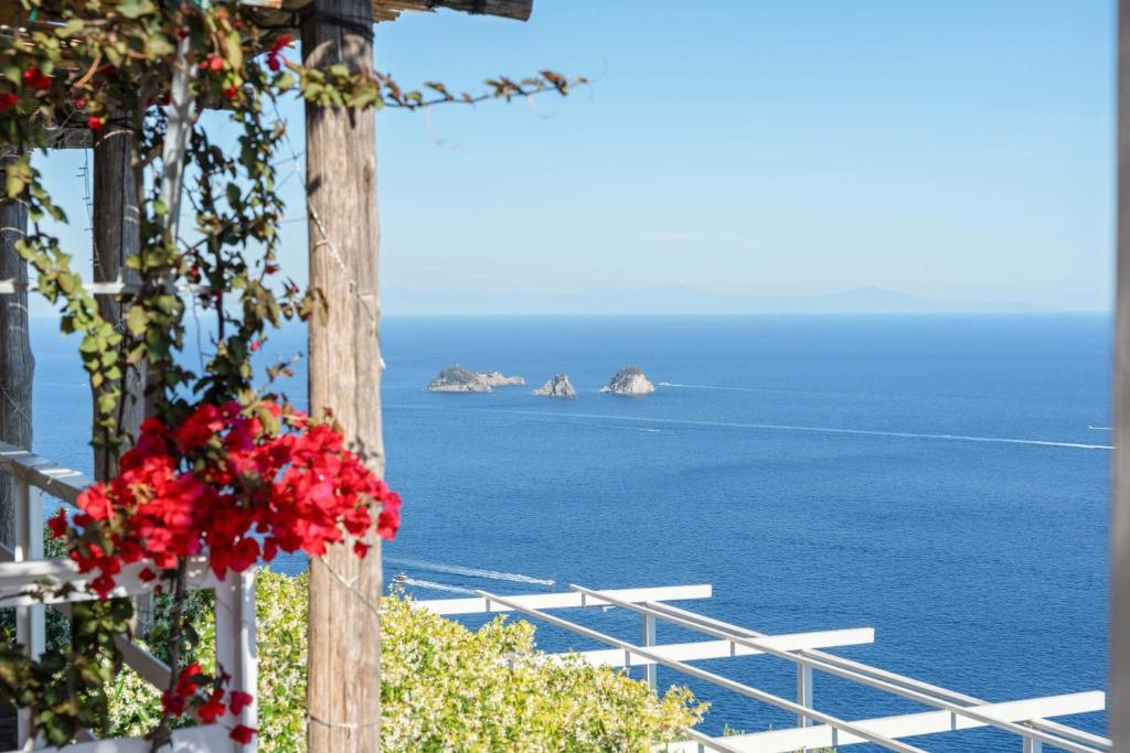 AMORE RENTALS - Villa Lantana - 5