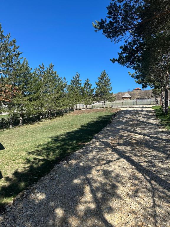 Vila Golden Queen Zlatibor - 5