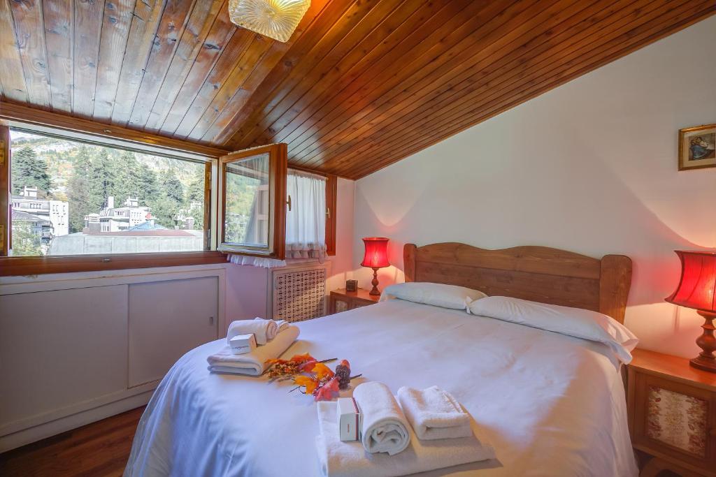 Il Rododendro in the city center - Happy Rentals - 5