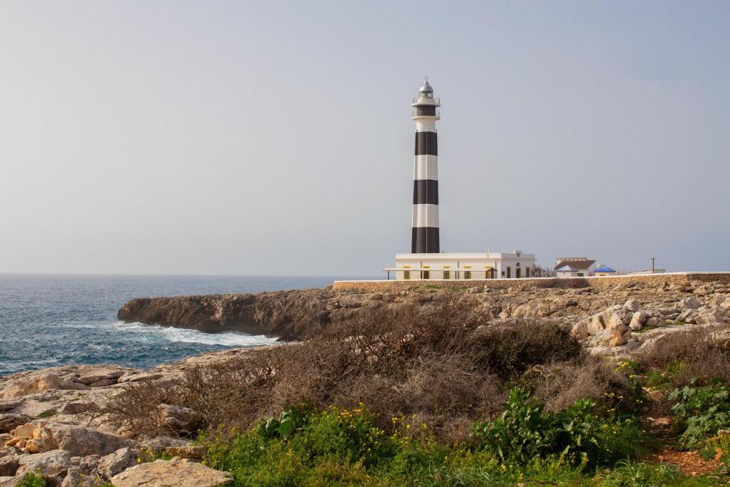 El Faro 8 - 5